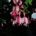 0117