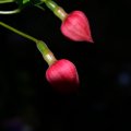 0200