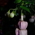 0206