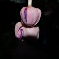 0208