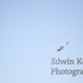 20120908-0270