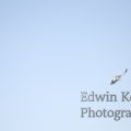 20120908-0271