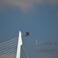 20120908-0895