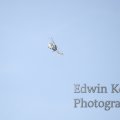 20120908-0902