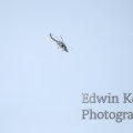20120908-0908