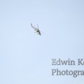 20120908-0911
