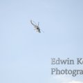 20120908-0912