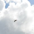 20130818-0642