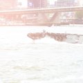 20130908-0187