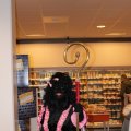 Sinterklaas_Rhoon_0144