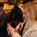 Sinterklaas_Rhoon_0148