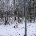 Easter2008006