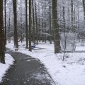 Easter2008011