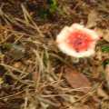 DSCN1729