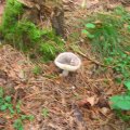 DSCN1730