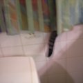 DSCN1747